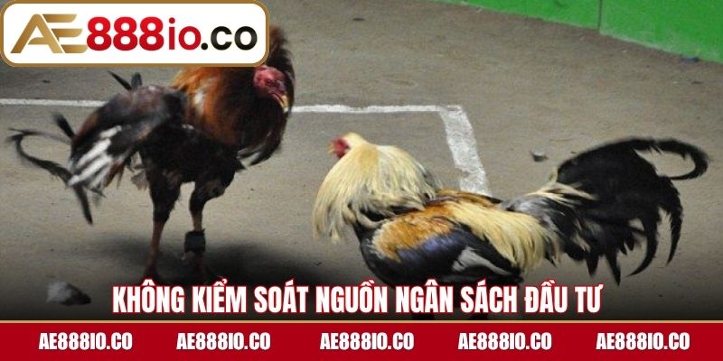 Không kiểm soát nguồn ngân sách đầu tư 
