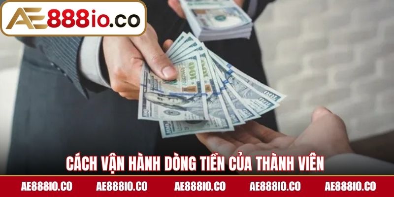 Cách vận hành dòng tiền của thành viên 
